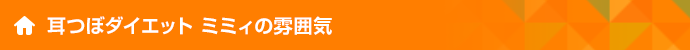 耳つぼダイエット ミミィの雰囲気